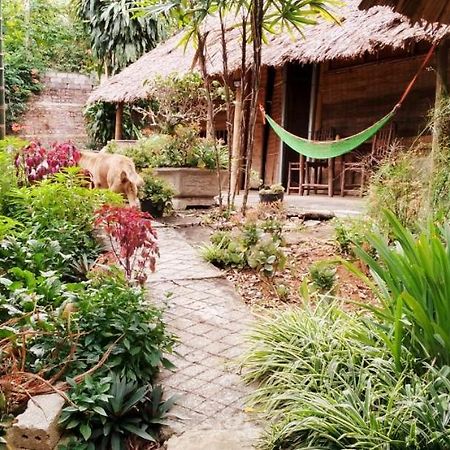 Family Homestay Бави Экстерьер фото